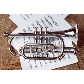 Collection image for: Music