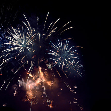 Collection image for: Independence Day